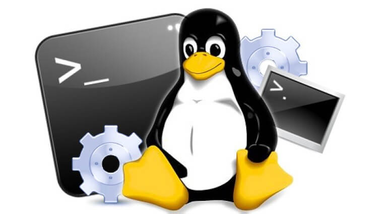 Linux, după 9 luni de folosire